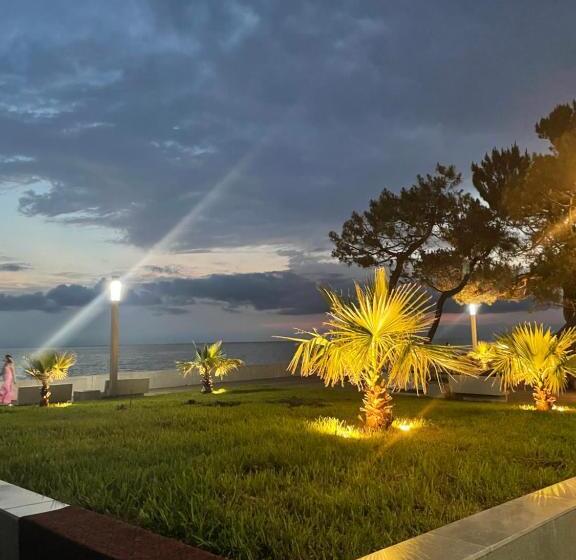 استودیوی استاندارد, Chaika