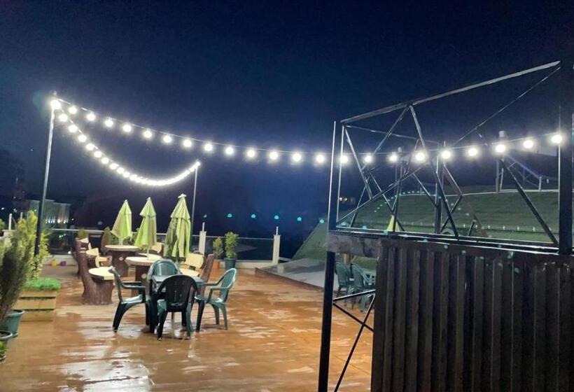 استودیوی استاندارد, Chaika