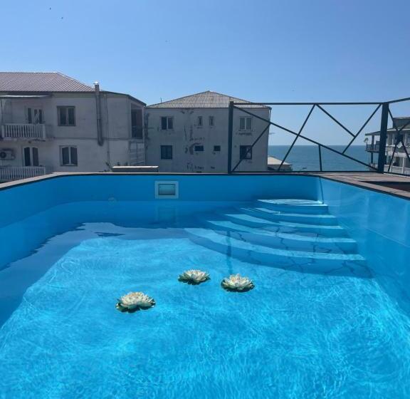 استودیوی استاندارد, Chaika