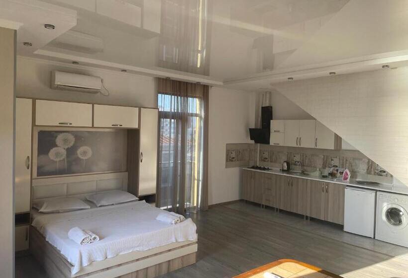 استودیوی استاندارد, Chaika