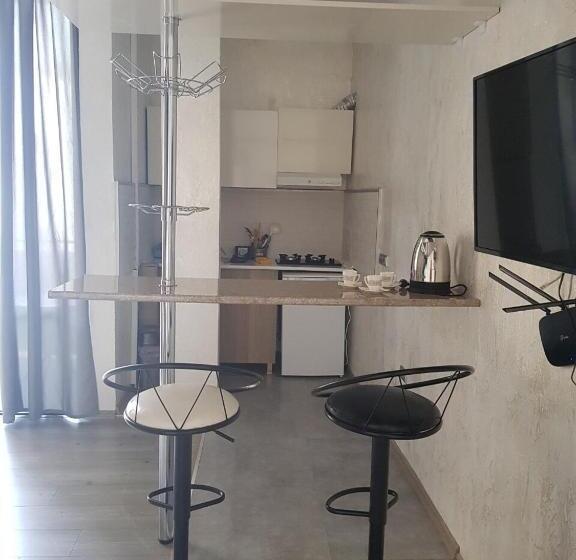 استودیوی استاندارد, Chaika