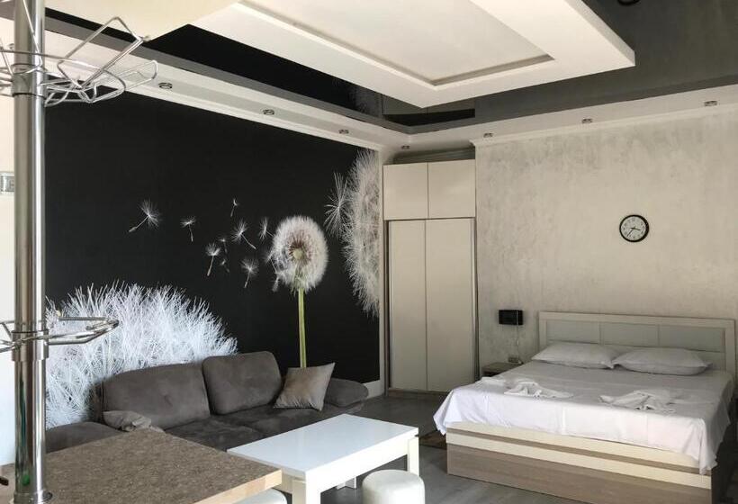 استودیوی استاندارد, Chaika