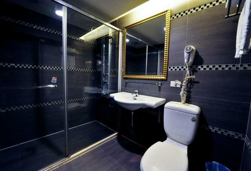 اتاق استاندارد, Carnival Motel