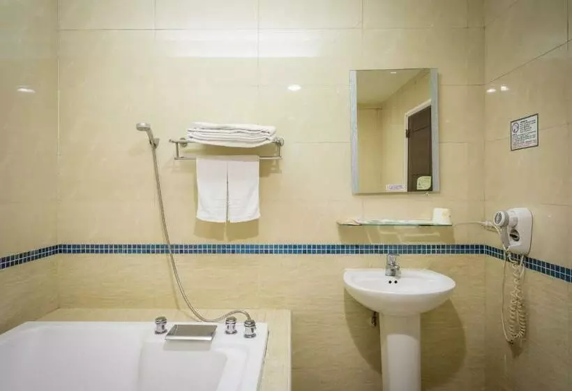 اتاق استاندارد با وان آب گرم, Carnival Motel
