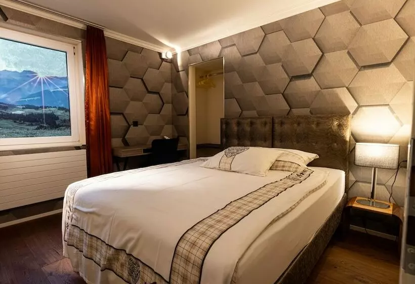 Standard Yhden Hengen Huone, Home Hotel Arosa