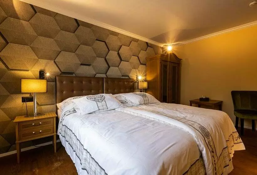 Standard-huone, Home Hotel Arosa
