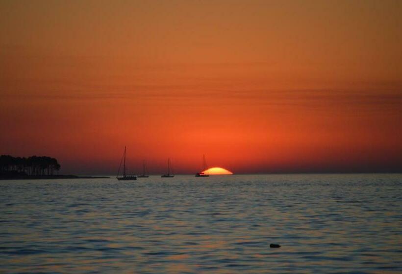 آپارتمان 1 خوابه با چشمانداز استخر, Arenas Del Mar