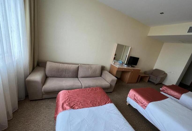 اتاق استاندارد سه نفره, Gabala Tufandag City