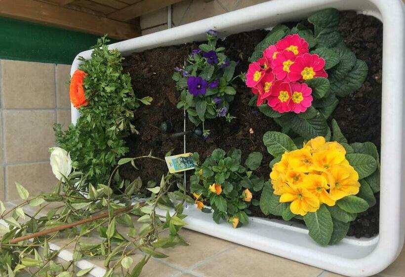 اتاق لوکس سه تخته, Top Floor Rentrooms Napoli