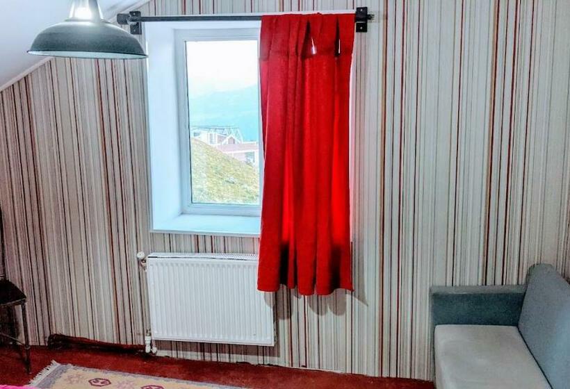 Cameră Standard, White Shino Hostel