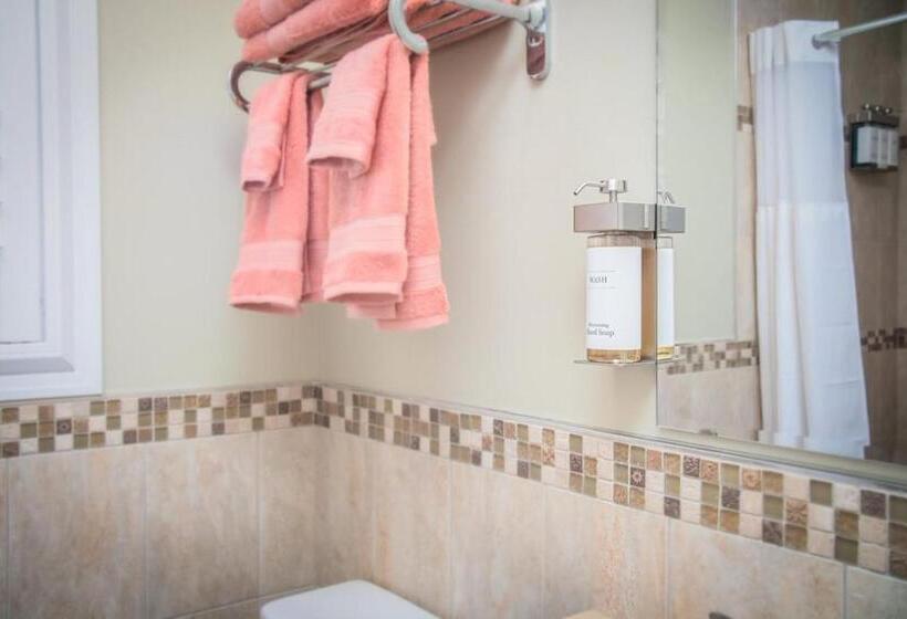 高级单人间, The Local   St. Augustine