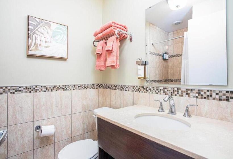 豪华房间, The Local   St. Augustine