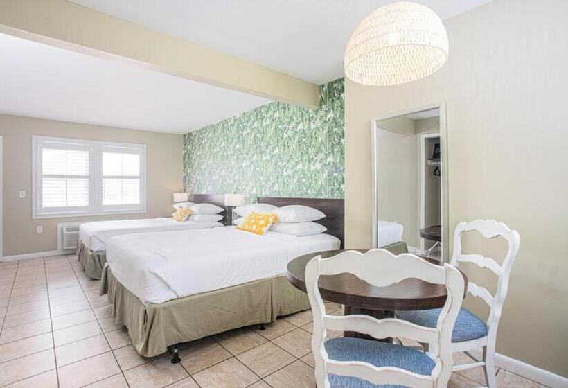 高级大房间, The Local   St. Augustine