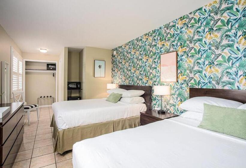 标准间, The Local   St. Augustine