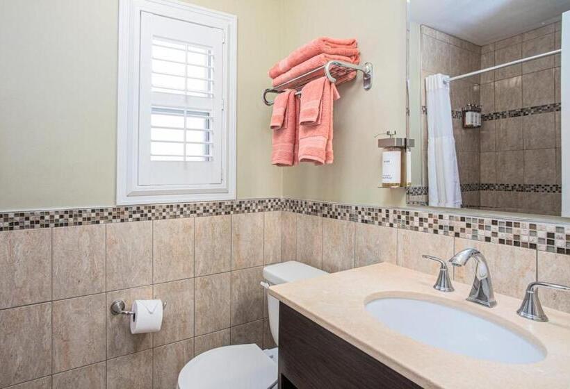 标准间, The Local   St. Augustine