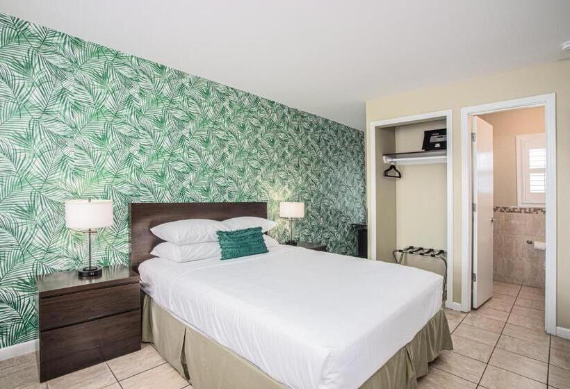 标准间, The Local   St. Augustine