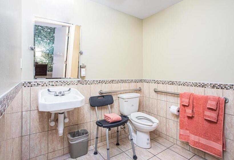 适合残疾人使用的标准间, The Local   St. Augustine