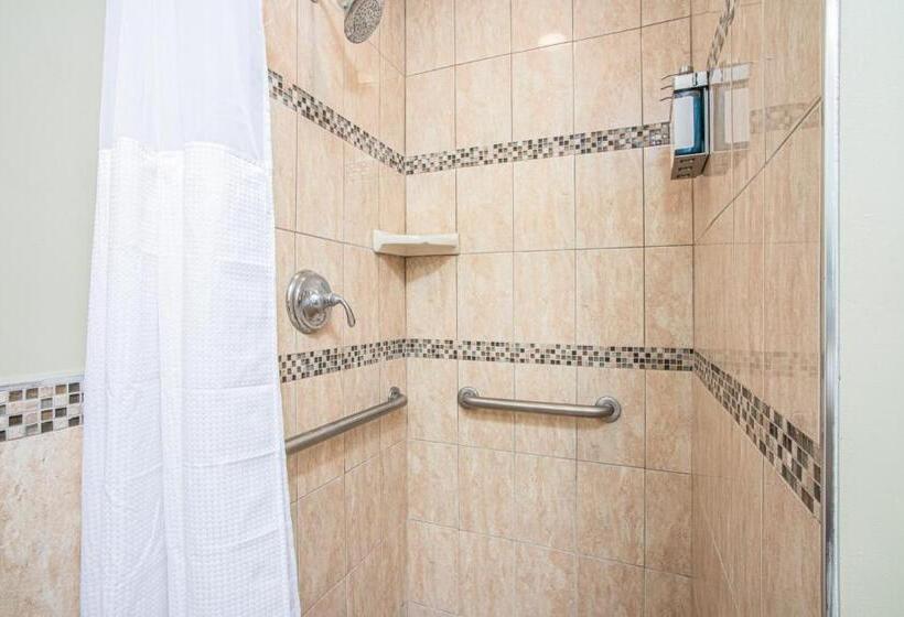 适合残疾人使用的标准间, The Local   St. Augustine