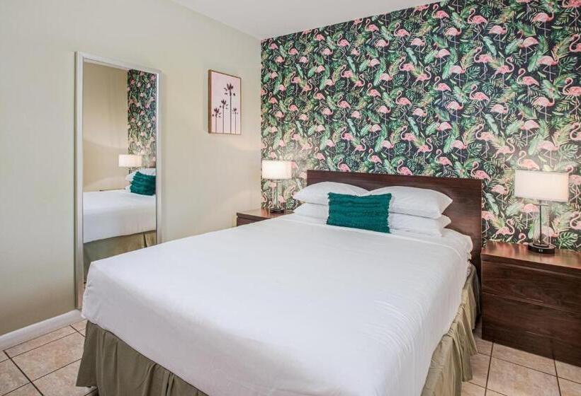 标准单人间, The Local   St. Augustine