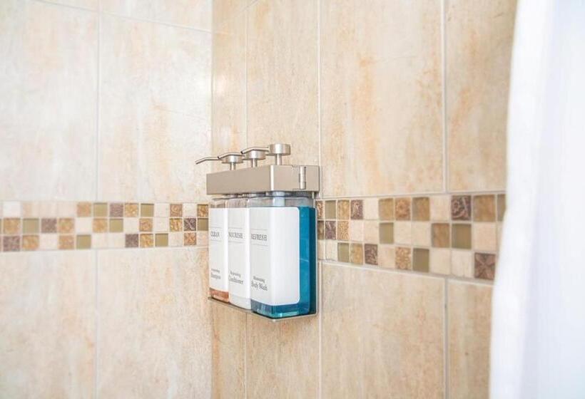 标准单人间, The Local   St. Augustine