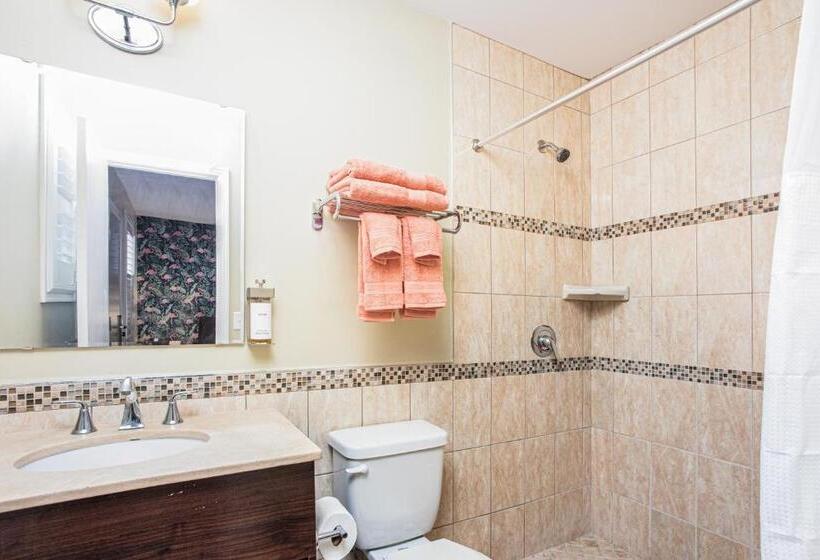 标准间, The Local   St. Augustine