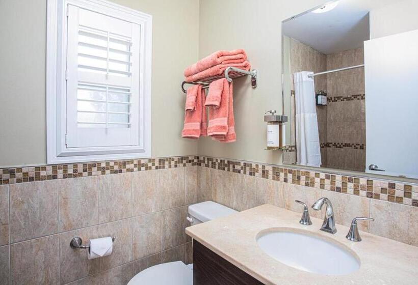 标准间, The Local   St. Augustine