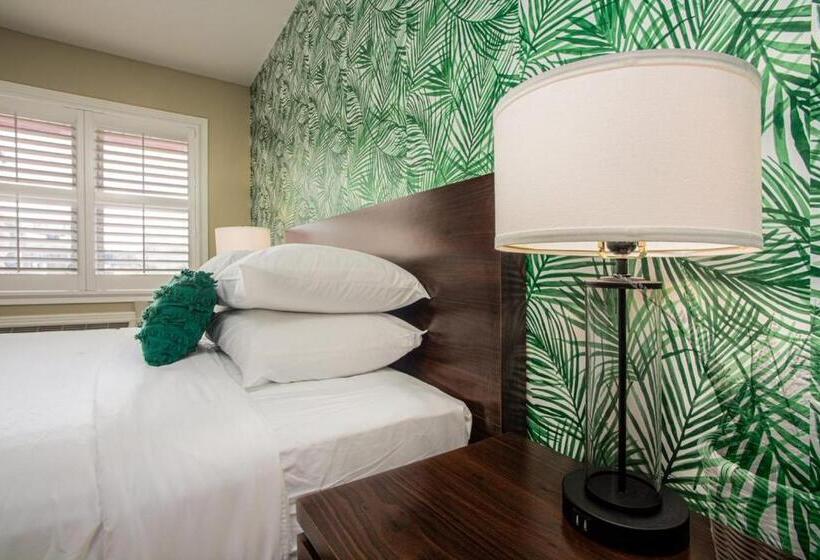 标准间, The Local   St. Augustine