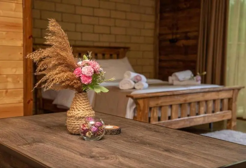 Standard-huone Parveke, Dan Resort