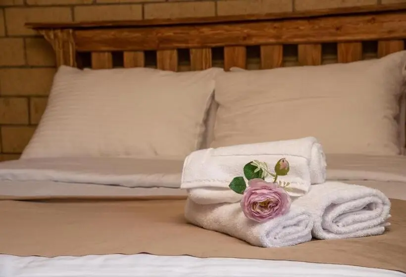 Standard-huone Parveke, Dan Resort