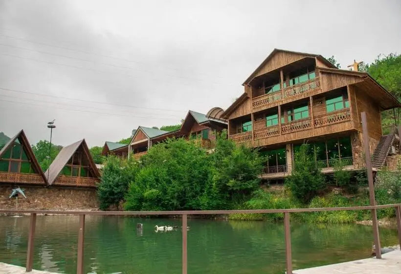 Economy-huone, Dan Resort