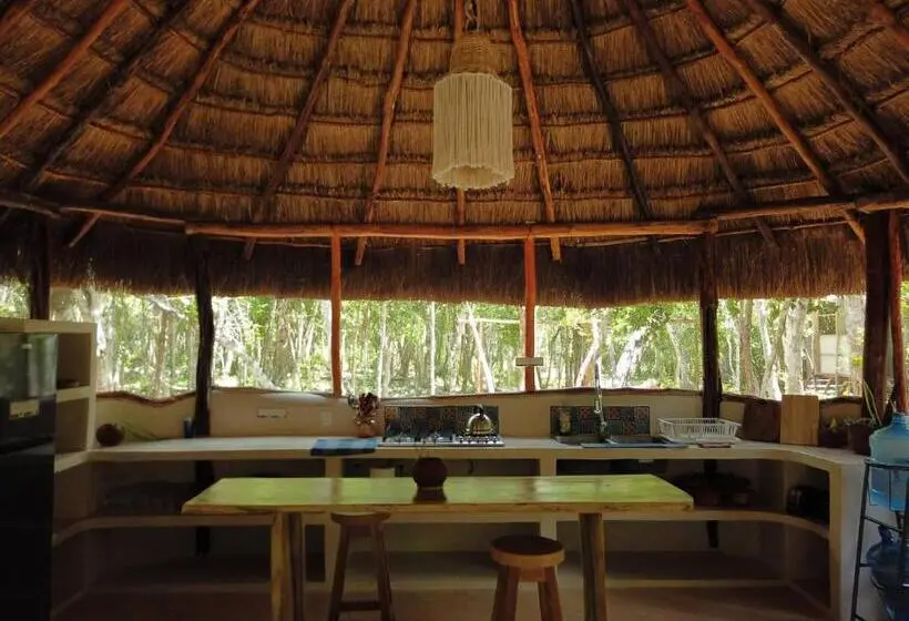 Standard-huone, Room In Lodge   Eco Lush Double Mayan Dome Cenote And Bikes