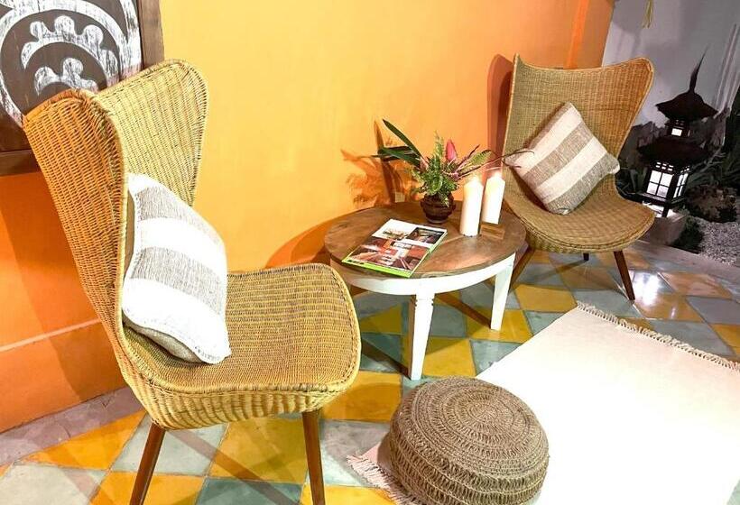 标准间, Bali Maison