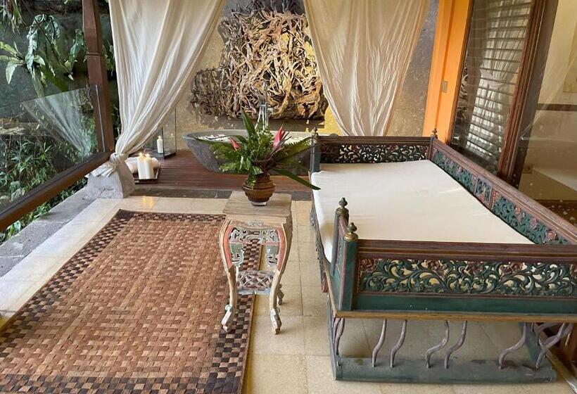 标准间, Bali Maison