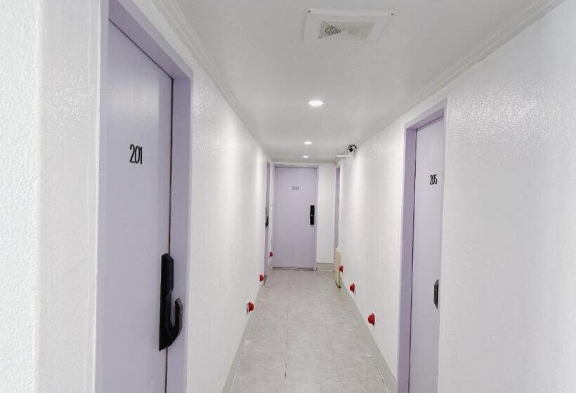 Номер Стандарт, Rapym Coliving House