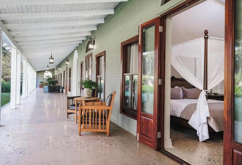 اتاق کلاسیک با تخت دونفره, The Peech Boutique