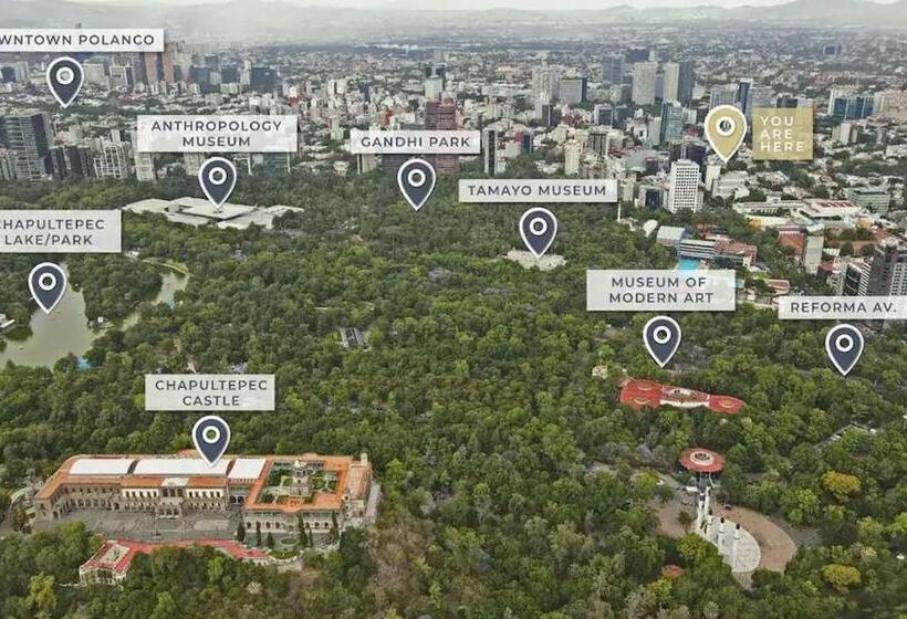 Quarto Estandar, Pm Polanco