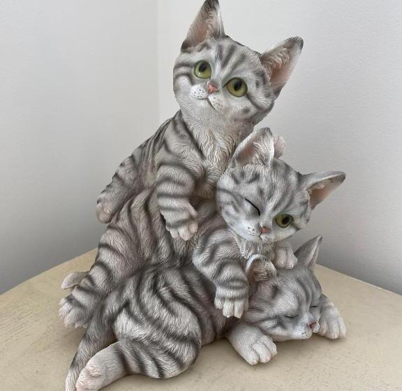 اتاق سوپریور با تخت بزرگ, The White Knight Premium Boutique