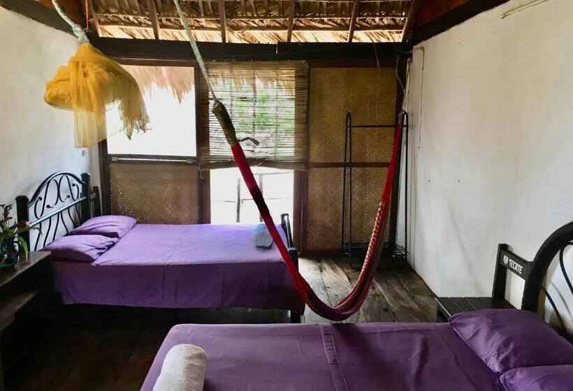 اتاق استاندارد چهار تخته, Casa Gulf Zipolite