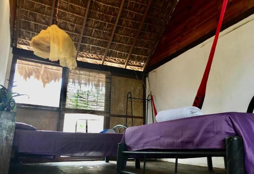 اتاق استاندارد چهار تخته, Casa Gulf Zipolite