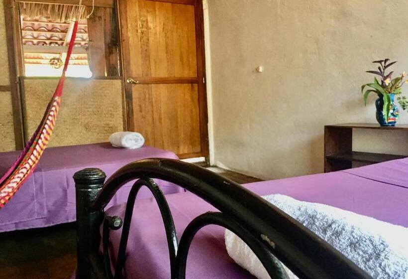 اتاق استاندارد چهار تخته, Casa Gulf Zipolite