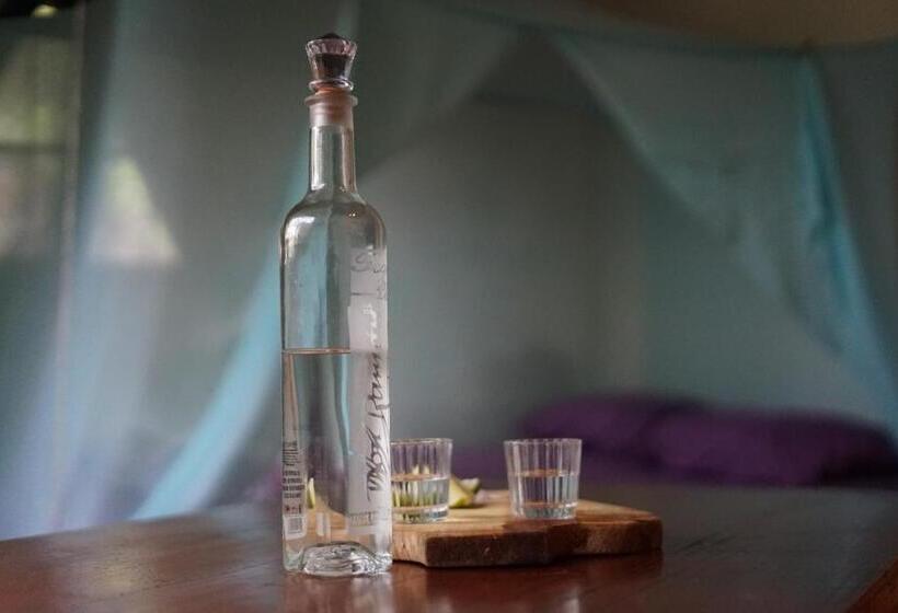 اتاق استاندارد, Casa Gulf Zipolite