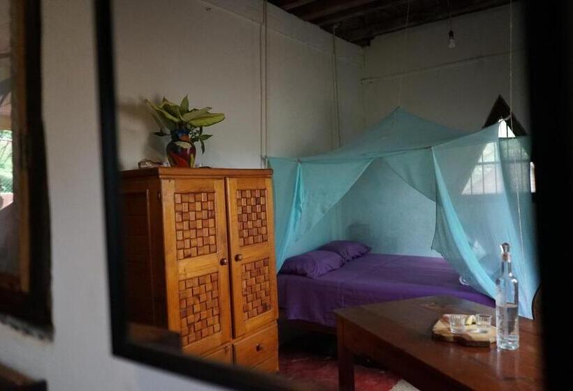 اتاق استاندارد, Casa Gulf Zipolite