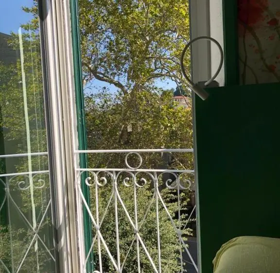 Camera Standard, Dimor A S