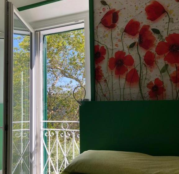 اتاق استاندارد, Dimor A S