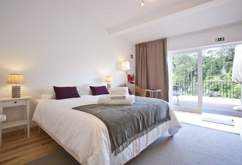 اتاق سوپریور, Casa Do Valle