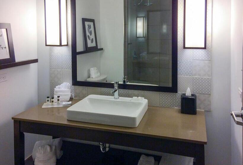 带大床的标准间, Country Inn & Suites By Radisson, Charlottesvilleuva, Va