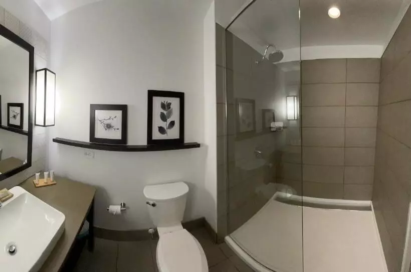 キングサイズベッドのスタンダードルーム, Country Inn & Suites By Radisson, Charlottesvilleuva, Va