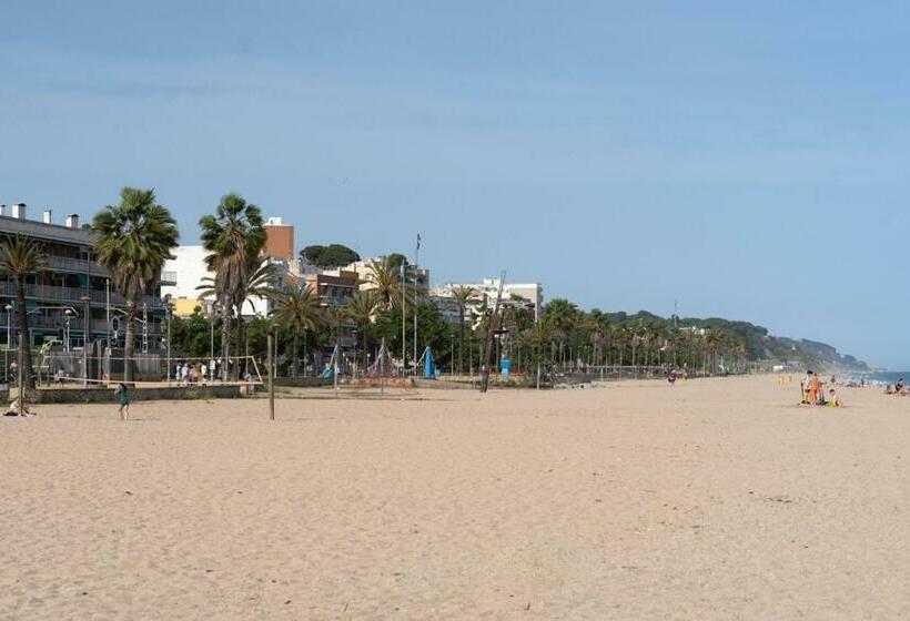 جناح مطل على المدينة, El Petit Palauet