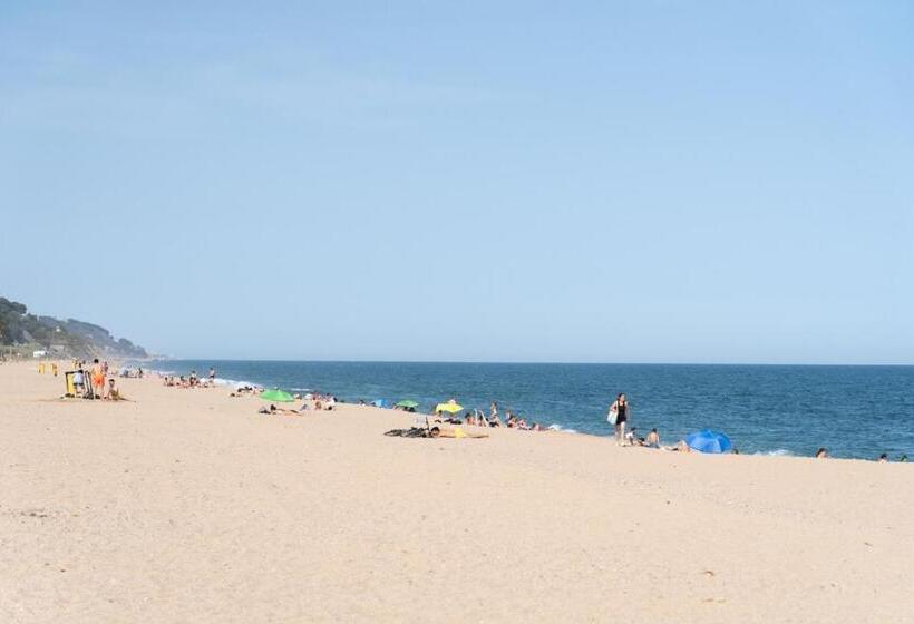 جناح مطلّ علي الحديقة, El Petit Palauet