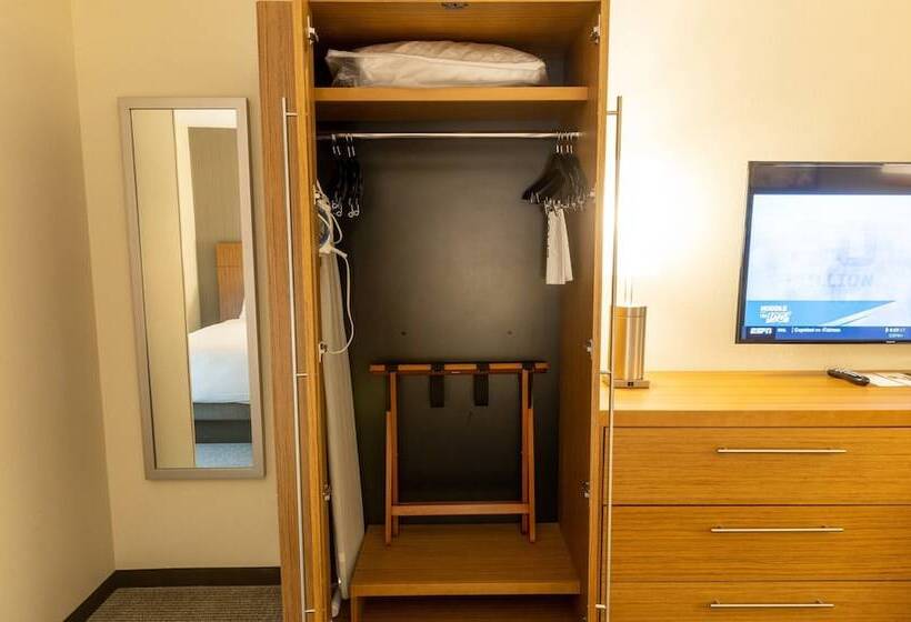 Люкс, Hyatt Place West Des Moines/jordan Creek